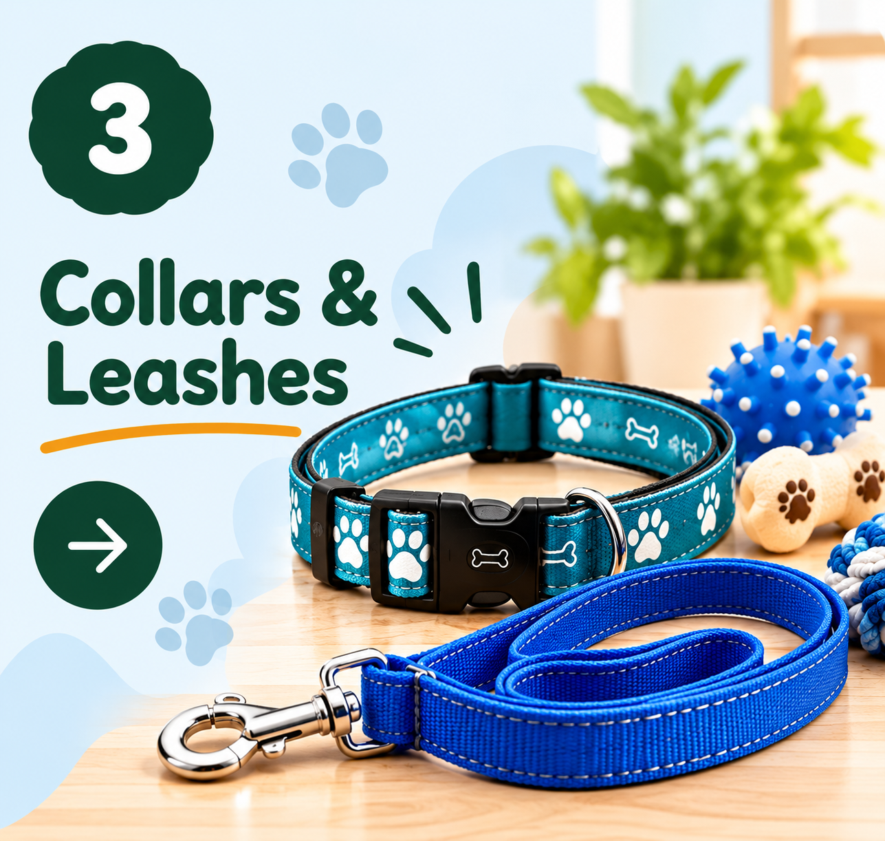 Collars & Leashes